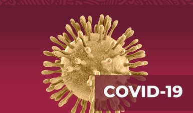 Nuevo Coronavirus en el mundo COVID-19. Comunicado Técnico Diario